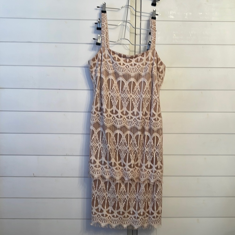 Blush Lace Overlay Dress